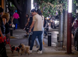 Iluminan Azcapotzalco con “Caminos de Paz” en Prohogar