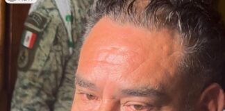 “Mexicanos estén tranquilos no subirá precio de la tortilla”: productores