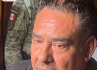 “Mexicanos estén tranquilos no subirá precio de la tortilla”: productores