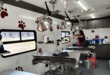 Gobierno Municipal de Tecámac fortalece jornadas de esterilización gratuitas con unidad móvil única en el Estado de México