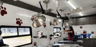 Gobierno Municipal de Tecámac fortalece jornadas de esterilización gratuitas con unidad móvil única en el Estado de México