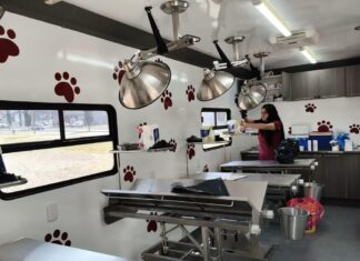 Gobierno Municipal de Tecámac fortalece jornadas de esterilización gratuitas con unidad móvil única en el Estado de México