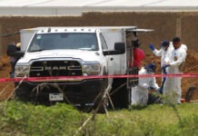 Colectivos hallan más de mil restos óseos en laguna de La Habana, entre Tláhuac y Chalco