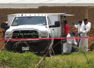 Colectivos hallan más de mil restos óseos en laguna de La Habana, entre Tláhuac y Chalco