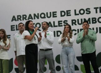 Partido Verde rompe con Morena para elección en SLP