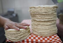 Descartan Agricultura y Profeco alza en precio de la tortilla