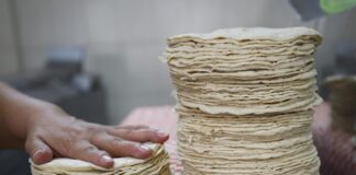 Descartan Agricultura y Profeco alza en precio de la tortilla
