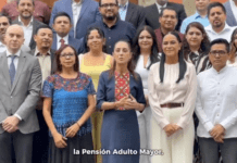 Ariadna Montiel deja el gabinete y va a Morena