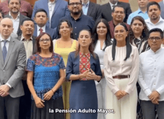Ariadna Montiel deja el gabinete y va a Morena