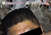 Operativo federal en Morelos deja cinco detenidos; capturan a presunto líder criminal
