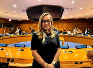 Promueve Laura Álvarez Soto en la ONU mejores ciudades para las familias