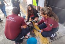 Protección de civil de Tecámac atiende incendio en vivienda del Fraccionamiento Sierra Hermosa