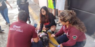 Protección de civil de Tecámac atiende incendio en vivienda del Fraccionamiento Sierra Hermosa