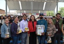 Gobierno de la alcaldesa Rosi Wong consolida acciones para protección de las abejas y el cuidado del medio ambiente
