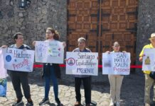 Anuncian reapertura del Museo Dolores Olmedo
