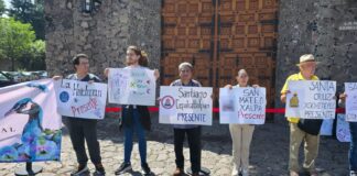 Anuncian reapertura del Museo Dolores Olmedo