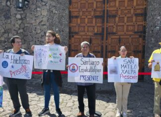 Anuncian reapertura del Museo Dolores Olmedo