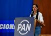 PAN CDMX exige transparencia en el costo por «ajolotizar» a la CDMX: denuncia adjudicaciones directas a empresa «amiga» de la jefa de Gobierno para pintar cruces y puentes