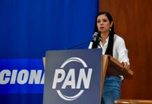 PAN CDMX exige transparencia en el costo por «ajolotizar» a la CDMX: denuncia adjudicaciones directas a empresa «amiga» de la jefa de Gobierno para pintar cruces y puentes