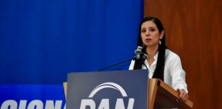 PAN CDMX exige transparencia en el costo por «ajolotizar» a la CDMX: denuncia adjudicaciones directas a empresa «amiga» de la jefa de Gobierno para pintar cruces y puentes