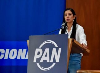 PAN CDMX exige transparencia en el costo por «ajolotizar» a la CDMX: denuncia adjudicaciones directas a empresa «amiga» de la jefa de Gobierno para pintar cruces y puentes
