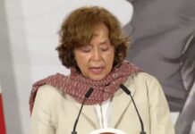 México lanza Cátedras de la Diáspora para vincular a científicos en el extranjero