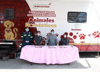 Gobierno de alcaldesa Rosi Wong continúa impulsando el bienestar de los seres sintientes en Tecámac con jornadas de esterilización gratuitas