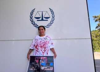 La activista guerrerense denuncia a Los Ardillos, a la gobernadora Evelyn Salgado y ocho alcaldes de Guerrero por violencia contra comunidades indígenas
