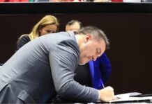 TMEC se complica por la defensa férrea en México a sus narcopolitícos: Döring