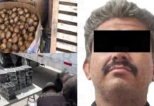 Autoridades decomisan casi una tonelada de metanfetamina en Durango