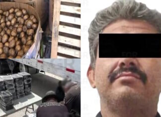 Autoridades decomisan casi una tonelada de metanfetamina en Durango