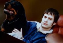 ‘Amores Perros’ saltará a la pantalla chica con serie producida por Sofía Vergara