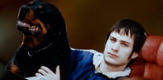 ‘Amores Perros’ saltará a la pantalla chica con serie producida por Sofía Vergara