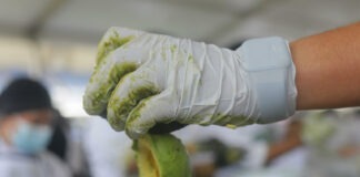 Jalisco establece Récord Guinness del guacamole más grande del mundo