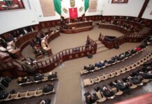 Se Comenta Solo Con / Democracias A La Medida