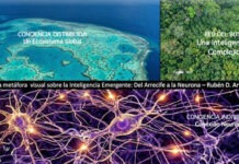 Conciencia sin rostro humano: ¿nos hará aceptar la realidad?