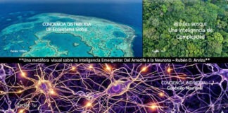 Conciencia sin rostro humano: ¿nos hará aceptar la realidad?