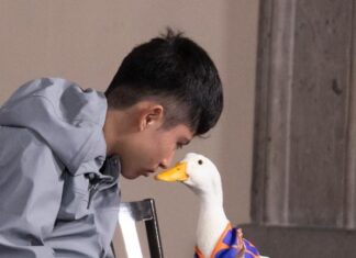 Ni el Pato Merlín se salvó de la delincuencia: le robaron sus zapatitos