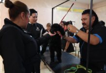 Alcaldesa Rosi Wong acerca servicios de salud y asistencia social a Santa María Ozumbilla