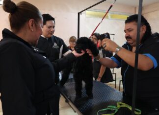 Alcaldesa Rosi Wong acerca servicios de salud y asistencia social a Santa María Ozumbilla