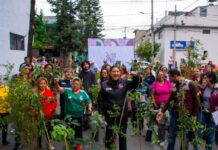 Nancy Núñez reforesta Azcapotzalco con “Aquí sí se Planta”