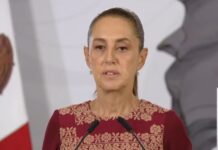 “Si quiere denunciar, que la presente”: Sheinbaum respalda a esposa de Víctor Rodríguez Padilla; exdirector de Pemex