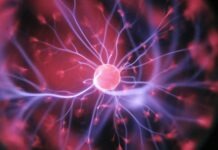 Desarrollan implante que lee y modula el cerebro para tratar patologías nerviosas