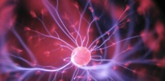 Desarrollan implante que lee y modula el cerebro para tratar patologías nerviosas