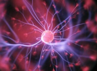 Desarrollan implante que lee y modula el cerebro para tratar patologías nerviosas