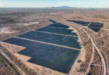 CFE apuesta por hidrógeno verde y energía solar: anuncia proyectos renovables estratégicos rumbo a 2030