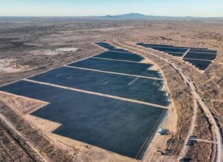 CFE apuesta por hidrógeno verde y energía solar: anuncia proyectos renovables estratégicos rumbo a 2030