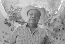 Matan a Apolonio Álvarez, exalcalde de Igualapa, Guerrero