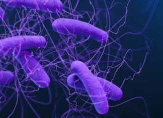 OMS advierte que contaminación alimentaria causa 1.5 millones de muertes globales cada año