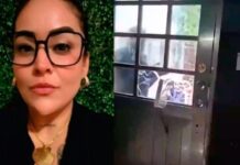 Desaparición de periodista Roxana moviliza a fuerzas federales; Sheinbaum pide no especular sobre el caso